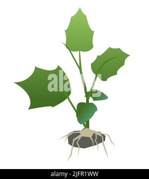 Seedling garden plants with roots. Sowing agricultural material. Isolated on white background. Single object icon. Vector Stock Vector