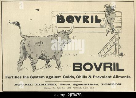 Victorian advert for Bovril, Bull chasing a man outting a sign up, 1890s 19th Century Stock Photo