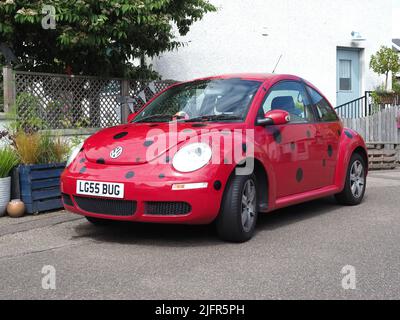 A bright red, new type VW beetle with black spots, looking like a ladybug, parked next to a garden on a sunny day. Stock Photo