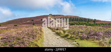 Path to the summit of Moel Famau mountain showing the Jubilee Tower approaching from the south east Clwyd North Wales UK August 2021 Stock Photo
