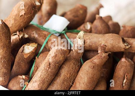 Pile of Cassava, also called manioc, yuca, balinghoy, mogo, mandioca, kamoteng kahoy, tapioca and manioc root, a woody shrub of the Euphorbiaceae fami Stock Photo