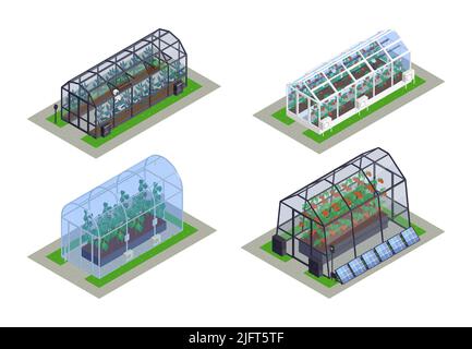 Isometric greenhouse modern smart icon set four different sized greenhouses with seedlings inside vector illustration Stock Vector