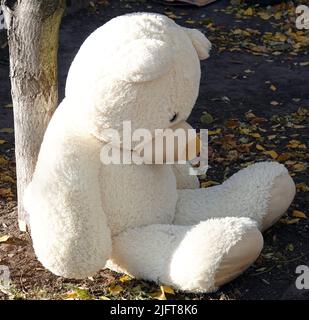 Kyiv, Ukraine March 11, 2022: A large teddy bear thrown into the garbage sitting near a dumpster Stock Photo