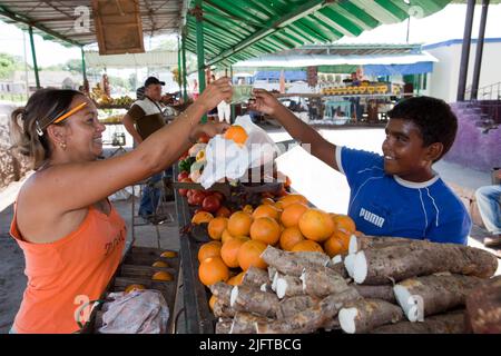 Cuba, Santa Clara, Small market where oranges and cassave or maniok are sold. Stock Photo