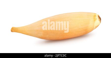 shallots onion path isolated on white Stock Photo
