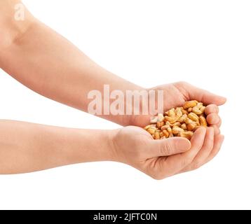 cashew nut in hand path isolated on white Stock Photo