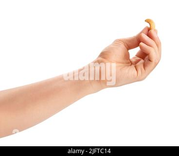 cashew nut in hand path isolated on white Stock Photo