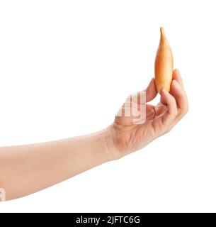 shallots onion in hand path isolated on white Stock Photo