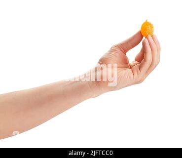 dry kumquat in hand path isolated on white Stock Photo