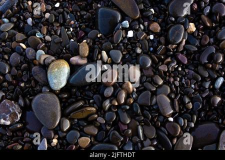 Background texture of wet pebbles on the seashore Stock Photo