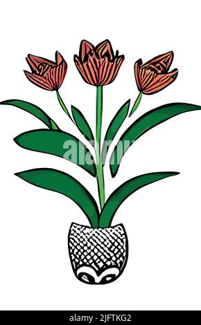 The striped tulips isolated on white vertical background. Floral pattern design. Stock Vector