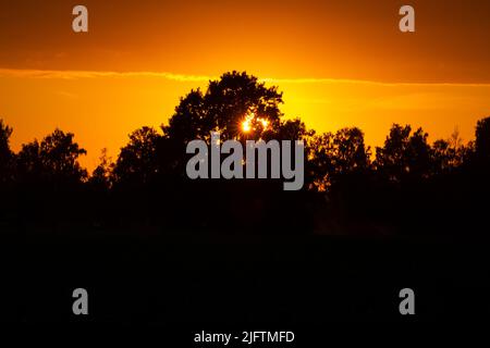 colorful sunset by the lake with tree silhouettes and red sky in background Stock Photo