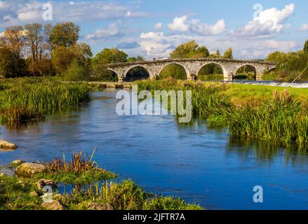 River Nore and seven-arch limestone bridge in the village of Bennetsbridge in County Kilkenny, Ireland. Stock Photo