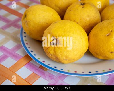 Close up of organic lemons in a colorful dish, on top of a table. Useful as a floral background. Horizontal view Stock Photo