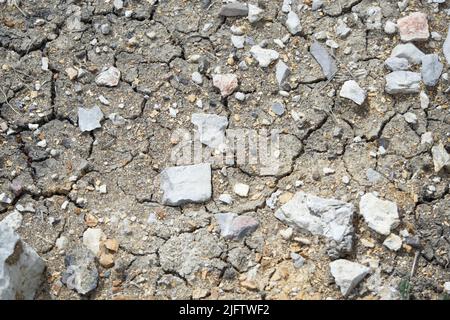 Texture of parched earth, cracked and with stones Stock Photo