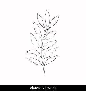 Leaves One Line Drawing. Continuous Line Simple Illustration. Abstract Contemporary. Stock Vector