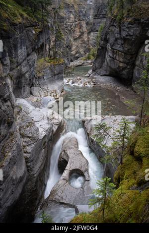 River flowing through deep canyon with mossy walls, vertical shot, Jasper NP, Canada Stock Photo