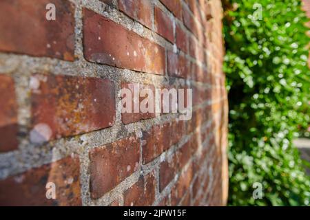 A close-up of red bricks with green plants in a garden. Texture, detailed background, a perspective of rough construction design on an old structure Stock Photo