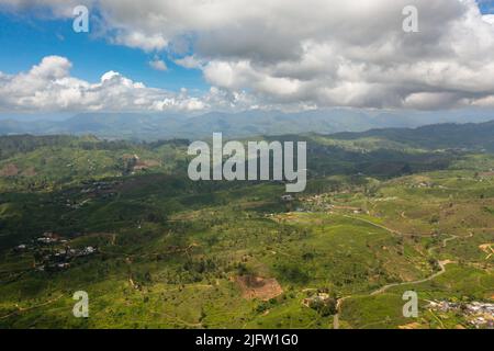 Tea plantations and agricultural land in a mountainous province. Tea estate landscape. Maskeliya, Sri Lanka. Stock Photo