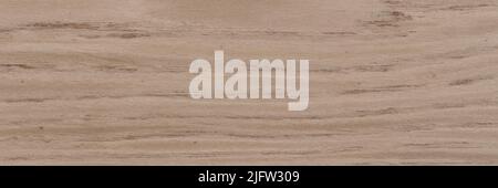 Beautiful light grey oak veneer. Natural wood texture, pattern. Stock Photo