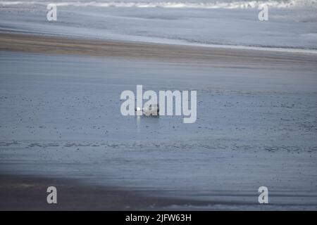 Discarded glass bottle lying on a seashore Stock Photo
