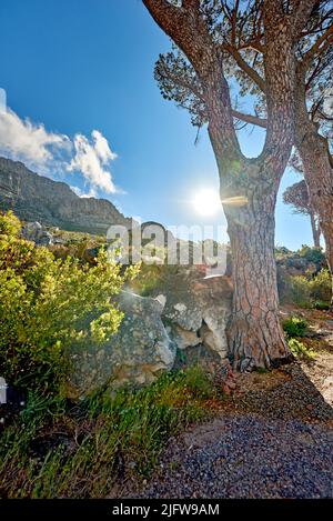 Remote mountain hiking trail on table mountain on a sunny day. Mountainous walking path high above a coastal city in South Africa against a blue Stock Photo