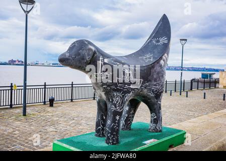 Superlambanana is a cross between a banana and a lamb and was designed by New York City-based Japanese artist Taro Chiezo. In 2008, as part of Liverpo Stock Photo