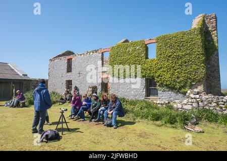 Visitors at the Old Farmhouse on Skomer Island, Pembrokeshire, Wales, UK Stock Photo