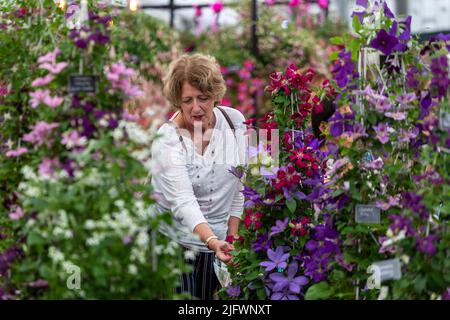The RHS Hampton Court Palace Garden Flower show 2022 opens today and runs till Saturday 9th July.   Pictured: Visitors looking and pointing at flowers Stock Photo