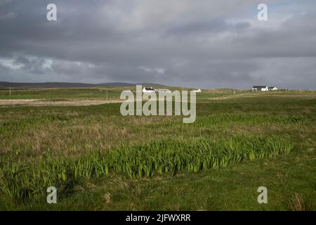 Remote residential houses near the west coast of North Uist, Scotland on a summer evening with gathering clouds  and marsh land in the foreground Stock Photo