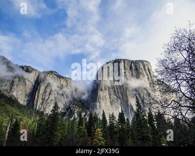 The south side of El Capitan seen here as fog clears around it. El Capitan is a granite monolith that rises about 3,000 ft (900 m) from the valley floor and is one of Yosemite National Park's most famous landmarks. Stock Photo