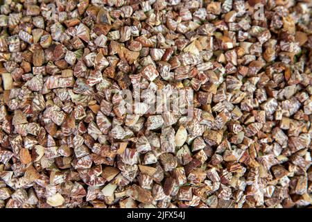 Betel nut cut for sale on the street in Old Dhaka, Bangladesh Stock Photo