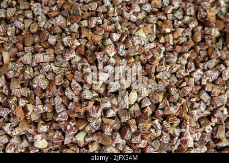 Betel nut cut for sale on the street in Old Dhaka, Bangladesh Stock Photo