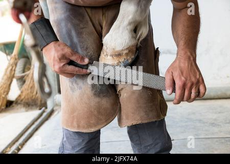 Unrecognizable male farrier in leather apron removing excess keratin from horse hoof with rough file while working outside workshop in daytime on farm Stock Photo