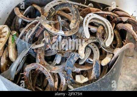 From above used corroded horseshoes placed inside container in farrier workshop on farm Stock Photo