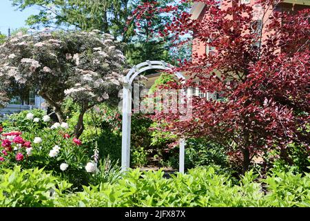 Beautiful garden in Lakewood, Ohio in May 2022 Stock Photo