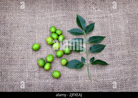 Neem fruits and leaves on jute fabric background. Medicinal neem for ayurvedic,  homeopathy beauty treatment. Healthy neem leaves for human energy. Stock Photo