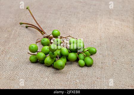 Neem tree's seeds on jute fabric background. Neem plant's fruits. Ayurvedic medicinal herbs. Neem fruit use for ayurveda treatment. Stock Photo