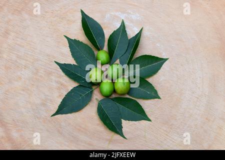Medicinal herbs neem leaves, and fruits on wooden background. Neem seeds with leaf around on wood backdrop. Neem use as raw material in homeopathy Stock Photo