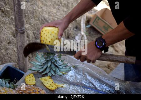 Cutting the pineapple with a sharp knife. Healthy Fruit for human health. Tropical fruit in hill tract. Hil tract pineapple harvest Stock Photo