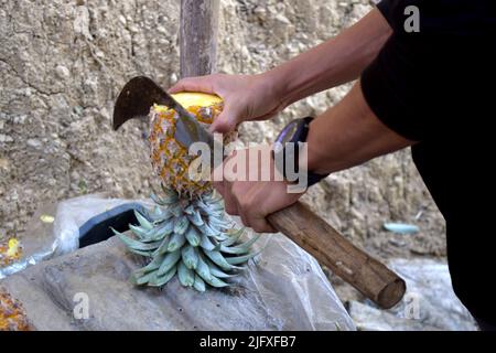 Cutting the pineapple with a sharp knife. Healthy Fruit for human health. Tropical fruit in hill tract. Hil tract pineapple harvest Stock Photo