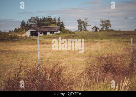 Old, Abandoned Buildings in Grass Field Behind Barbed Wire Fence Along Olympic Discovery Trail in Sequim, WA Stock Photo