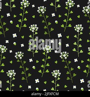 Capsella green field grasses dark seamless pattern. Shepherd's purse botanical illustration. Stock Vector