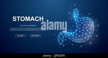 Stomach 3d low poly symbol with connected dots for blue landing page. Digestive system design illustration concept. Polygonal Organ illustration Stock Vector