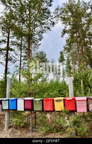 Mail boxes in Uukuniemi in Eastern Finland in June 2022 Stock Photo