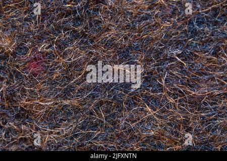 Brown felt texture in extreme close up Stock Photo