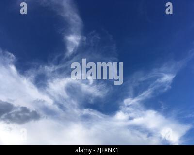The white cloud and blue sky in springtime Stock Photo