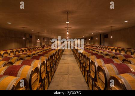 Dominus Winery in California USA by Herzog de Meuron Stock Photo