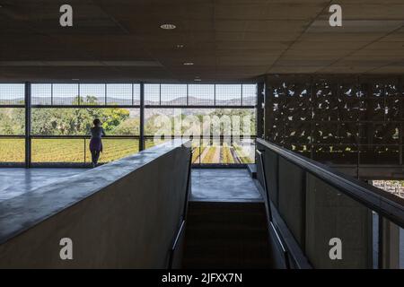 Dominus Winery in California USA by Herzog de Meuron Stock Photo - Alamy
