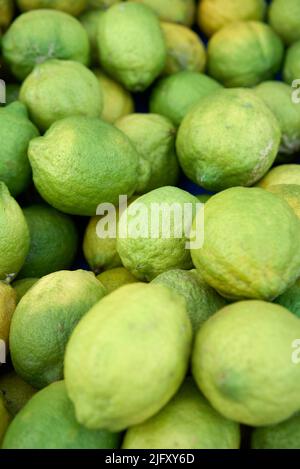 Lime Citrus Fruits In Fruit Market Stock Photo